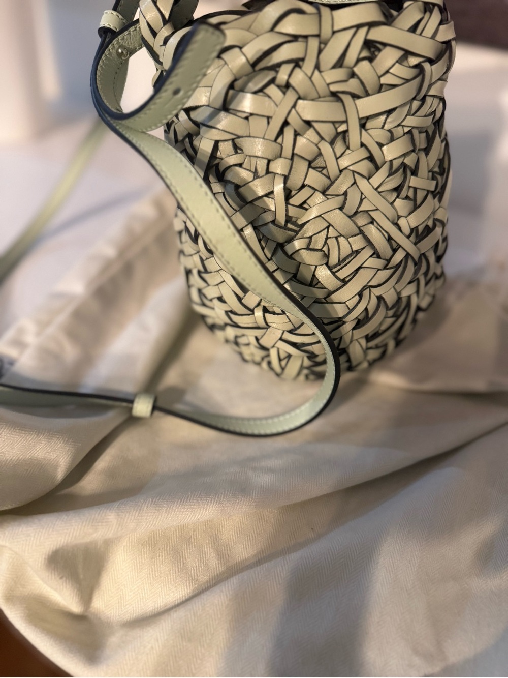 Loewe Small Nest Leather Basket Bag